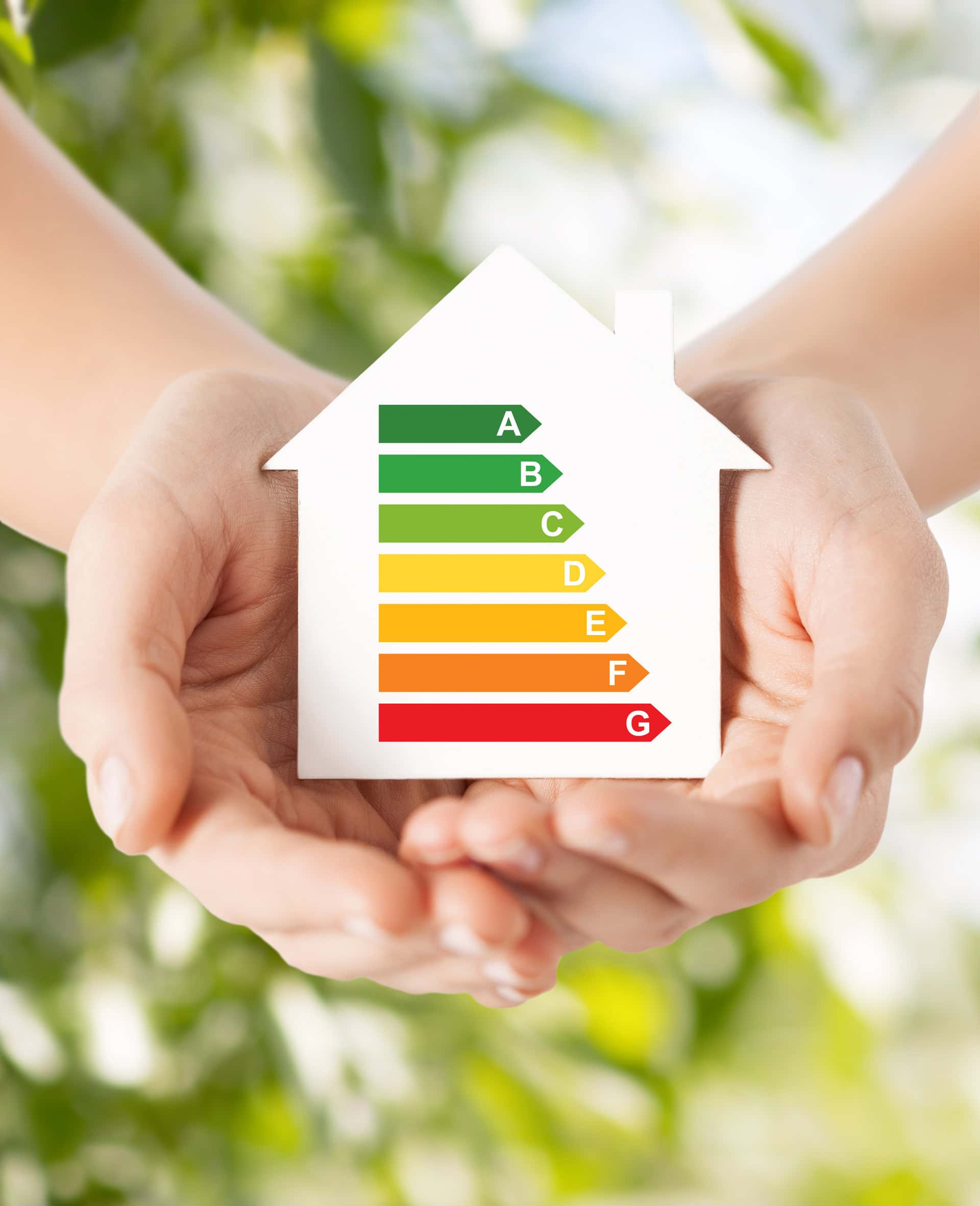 Energieeffizienz und Umweltbewusstsein